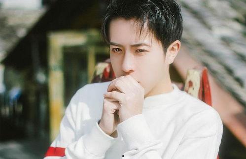 揭洋个人资料,才华横溢的青年才俊，多领域成就斐然