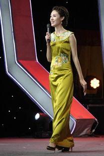 张宇女主持人资料,才华横溢的媒体新星，引领时尚潮流的传播者