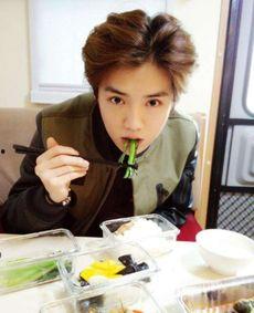 娱乐圈之吃货,吃货的星光之旅