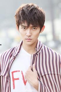 痞的演员,演员阵容揭秘，谁将演绎传奇故事？